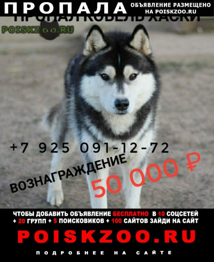 Бронницы доска объявлений