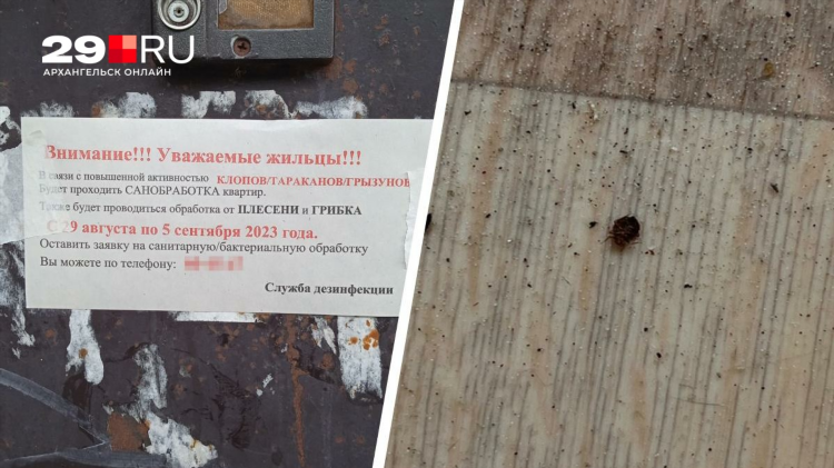 Доска частных объявлений сниму