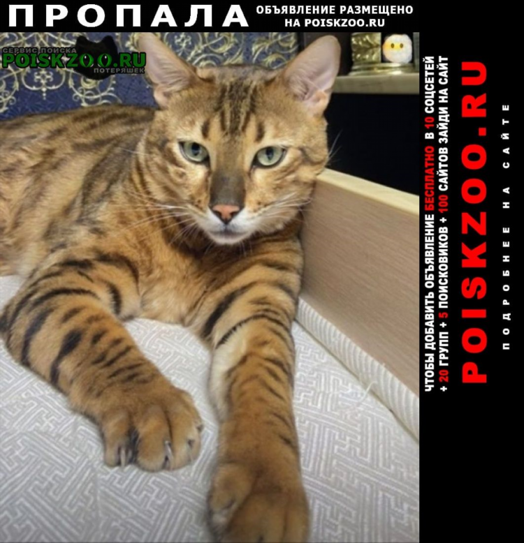 Доска объявлений альметьевск бесплатных альметьевск
