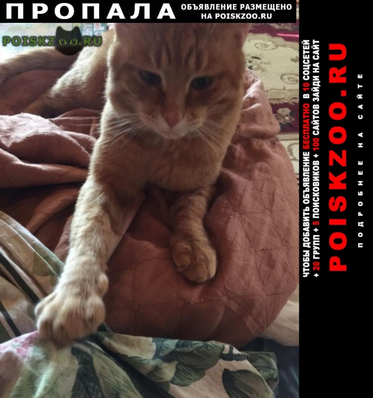 Доска объявлений бесплатно руза