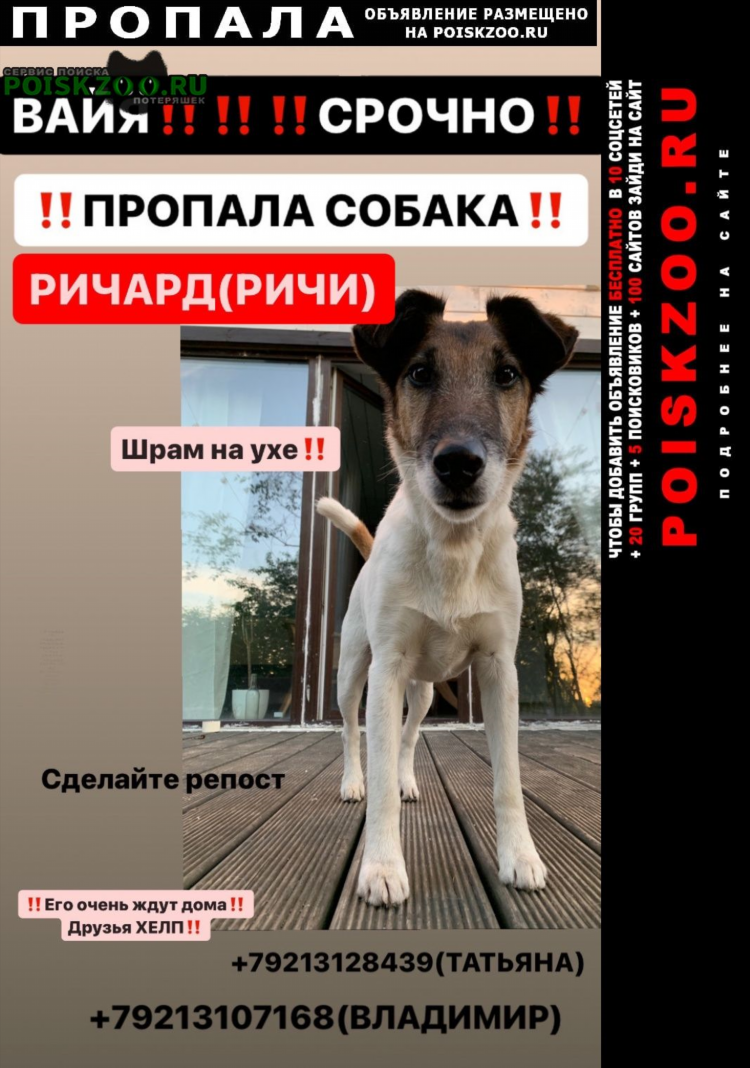 Доска объявлений гатчинский район