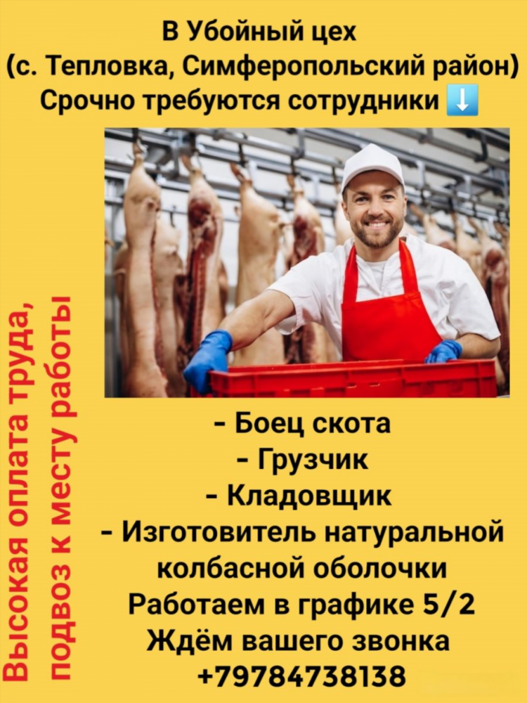 Доска объявлений работа с ежедневной оплатой