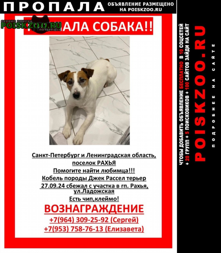 Доска объявлений спб ввс