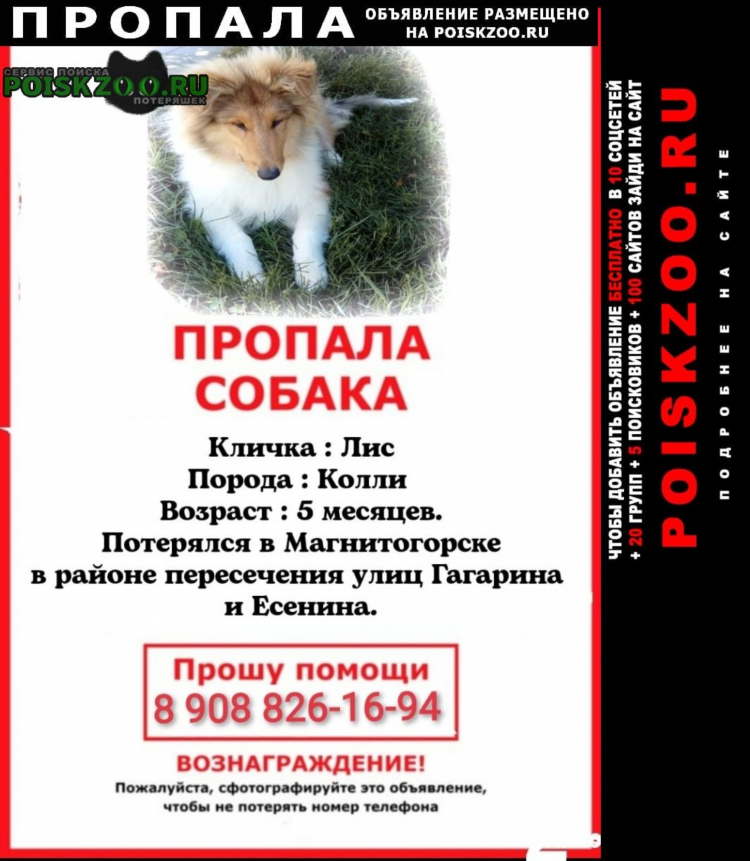 Город миасс доска объявлений