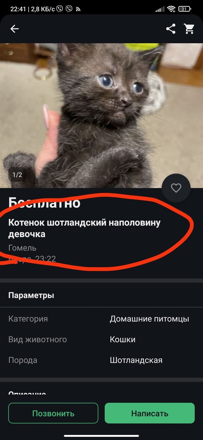 Куфар мои объявления
