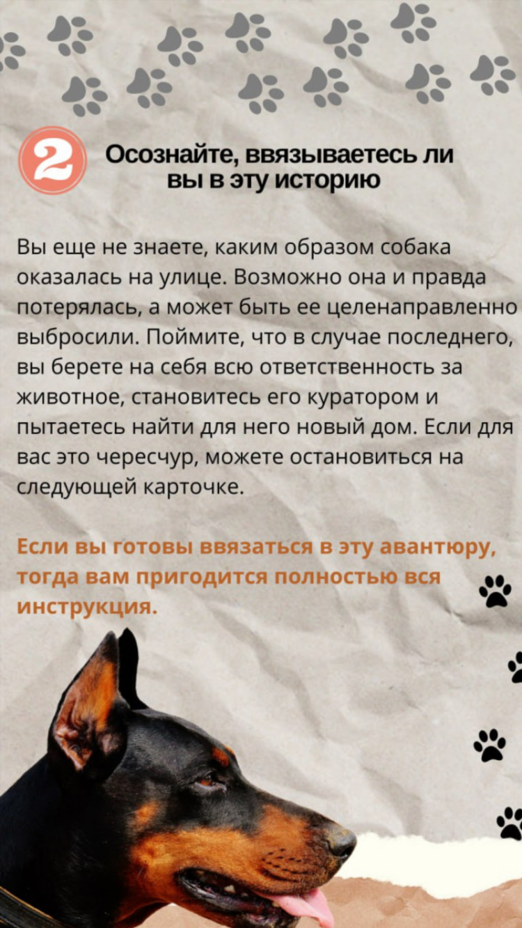 Нашлась собака объявления