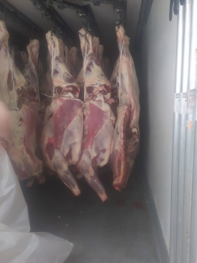 Объявление продам мясо говядины