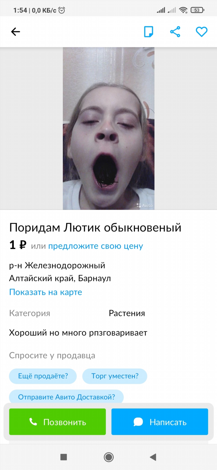 Объявления на авито алтайский край