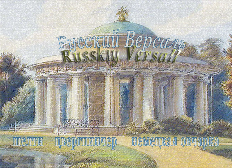 Русская доска объявлений г москва