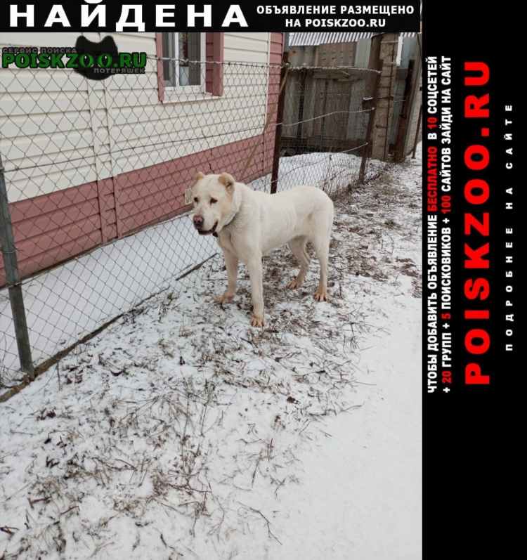 Сетка доски объявлений бесплатно
