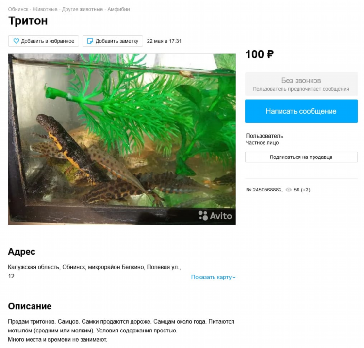 Сколько дней на авито держится объявление